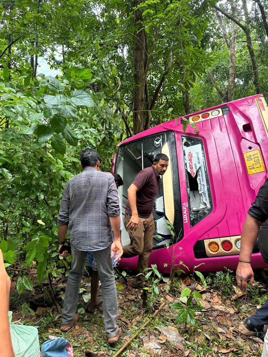 തട്ടേക്കണ്ണിക്ക് സമീപം ബസ് അപകടം; യാത്രക്കാർക്ക് പരിക്ക്