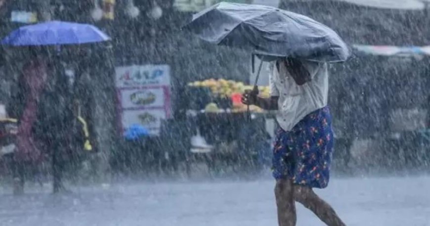 സംസ്ഥാനത്ത് ഇന്നും ശക്തമായ മഴയ്ക്ക് സാധ്യത; വിവിധ ജില്ലകളിൽ യെല്ലോ അലർട്ട്