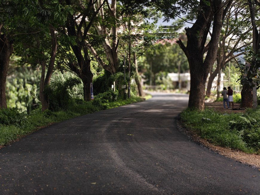 നേതാജി ബൈപാസിന് ശാപമോക്ഷം; ടാറിംഗ് അവസാന ഘട്ടത്തിൽ