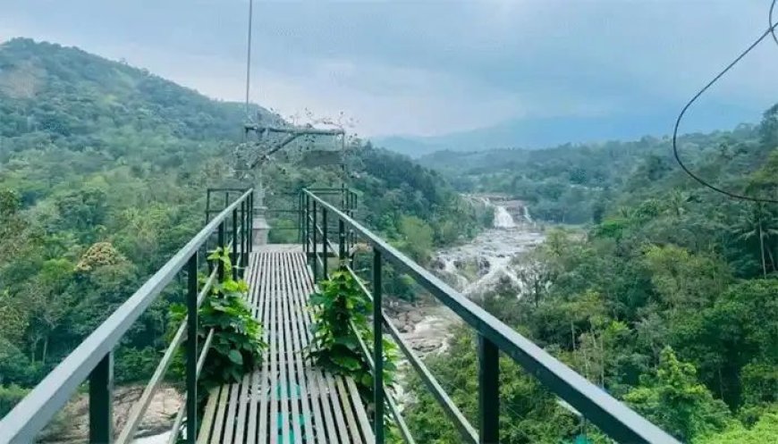 പോത്തുംപാറ അഡ്വഞ്ചർ പാർക്കിൽ അപകടം; ചെന്നൈ സ്വദേശിനിയുടെ വിരൽ അറ്റു