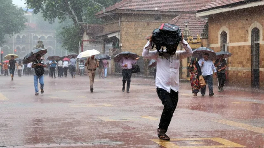 സംസ്ഥാനത്ത് ശക്തമായ മഴയ്ക്ക് സാധ്യത; ആറ് ജില്ലകളിൽ യെല്ലോ അലർട്ട്