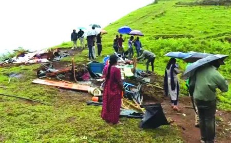 മൂന്നാറില്‍ വീണ്ടും കൈയേറ്റം ഒഴിപ്പിച്ചു; 20-ലധികം ഷെഡുകള്‍ പൊളിച്ചുനീക്കി