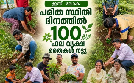 ലോക പരിസ്ഥിതി ദിനം : 100 ഫലവൃക്ഷ തൈകൾ നട്ട് റോട്ടറി ക്ലബ് ഓഫ് കട്ടപ്പന