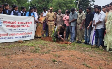 'ഒരു സ്കൂളിൽ ഒരു പഴത്തോട്ടം' പദ്ധതിക്ക് തുടക്കമായി