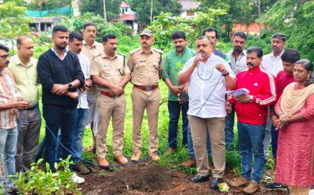 പരിസ്ഥിതി ദിനത്തിൽ ഹൈറേഞ്ചിലെ 50 സ്‌കൂളുകളിൽ ഫലവൃക്ഷ തൈകൾ വിതരണം ചെയ്ത് ഫ്രണ്ട്സ് ഓഫ് കട്ടപ്പന