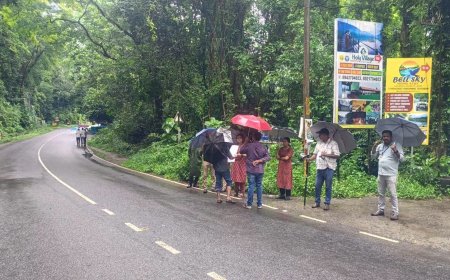ദേശീയപാത 85: നേര്യമംഗലം–വാളറ വനമേഖലയിൽ സർവേ നടപടികൾ ആരംഭിക്കുന്നു