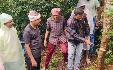പരിസ്ഥിതി ദിനത്തിൽ മരം മുറിച്ച് പ്രതിഷേധം; സാഫിന്റെ വ്യത്യസ്ത സമരം