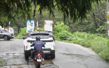 അപകടം പതിയിരിക്കുന്ന കട്ടപ്പന–പുളിയൻമല റോഡ്