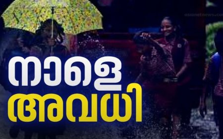 കനത്ത മഴ: കൂടുതൽ ജില്ലകളിൽ വിദ്യാഭ്യാസ സ്ഥാപനങ്ങൾക്ക് അവധി നൽകി ജില്ലാ കളക്ടർമാർ