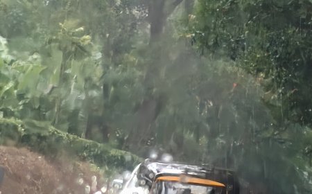 സംസ്ഥാനത്ത് ശക്തമായ മഴ തുടരും; 14 ജില്ലകളിലും മുന്നറിയിപ്പ്