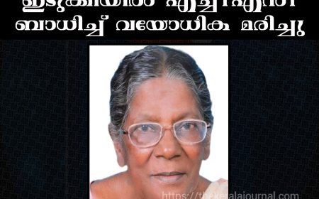 എച്ച്‌1എൻ1 : ഇടുക്കിയിൽ ഒരു മരണം