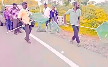 തെരുവുനായകൾക്ക് പ്രതിരോധ കുത്തിവയ്പ് ആരംഭിച്ചു