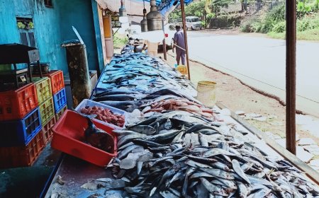 ട്രോളിങ് നിരോധനം: മീൻ വില കുത്തനെ ഉയരുന്നു