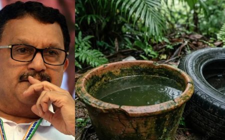 പകർച്ചവ്യാധി പ്രതിരോധം ശക്തമാക്കി: സംസ്ഥാനത്ത് മൂന്ന് ദിവസം ‘ഡ്രൈ ഡേ’