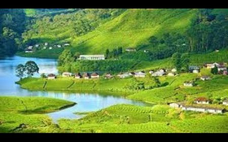 ചിന്നക്കനാൽ പുനരധിവാസം ഡിസിസി നിർദേശം സ്വാഗതാർഹം സിപിഐഎം.