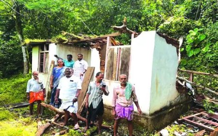 പീരുമേട്ടിൽ വീണ്ടും കാട്ടാന ആക്രമണം ; വീട് തകർത്തു