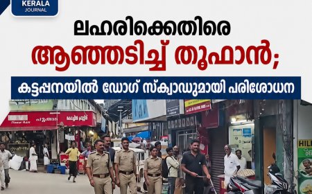 തൂഫാൻ; കട്ടപ്പനയിൽ ഡോഗ് സ്‌ക്വാഡുമായി പരിശോധന നടത്തി