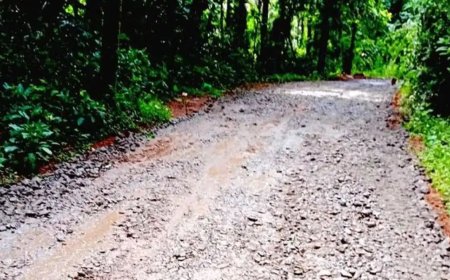 ഉടുമ്പന്നൂർ–കൈതപ്പാറ–മണിയാറംകുടി റോഡ് നിർമ്മാണം പുനരാരംഭിച്ചു; കോൺക്രീറ്റ് ജോലികൾ തുടങ്ങി