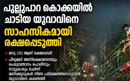 പുല്ലുപാറ കൊക്കയിൽ ചാടിയ യുവാവിനെ സാഹസികമായി രക്ഷപ്പെടുത്തി