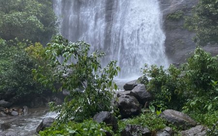 അടിസ്ഥാന സൗകര്യ വികസനം കാത്ത് ഉറുമ്പിക്കര; വിനോദസഞ്ചാര സാധ്യതകൾ പ്രയോജനപ്പെടുത്തണമെന്ന് ആവശ്യം