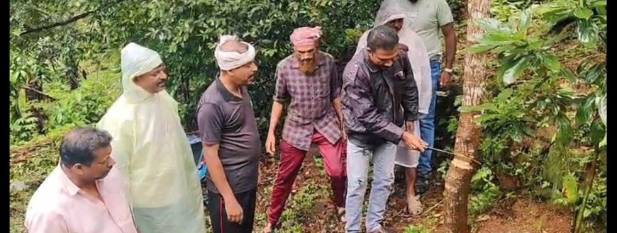 പരിസ്ഥിതി ദിനത്തിൽ മരം മുറിച്ച് പ്രതിഷേധം; സാഫിന്റെ വ്യത്യസ്ത സമരം