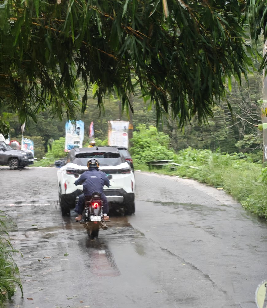 അപകടം പതിയിരിക്കുന്ന കട്ടപ്പന–പുളിയൻമല റോഡ്