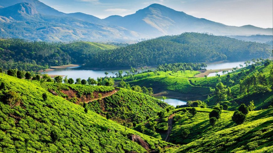 മൂന്നാറിലെ 5 സംരക്ഷിത വനങ്ങൾക്ക് ചുറ്റും പരിസ്ഥിതിലോല മേഖല; കേന്ദ്രത്തിന്റെ കരട് വിജ്ഞാപനം പുറത്ത്