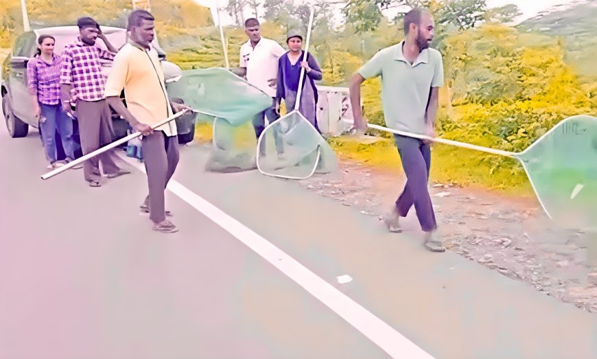 തെരുവുനായകൾക്ക് പ്രതിരോധ കുത്തിവയ്പ് ആരംഭിച്ചു