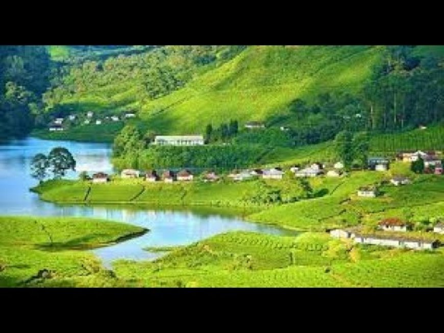 ചിന്നക്കനാൽ പുനരധിവാസം ഡിസിസി നിർദേശം സ്വാഗതാർഹം സിപിഐഎം.