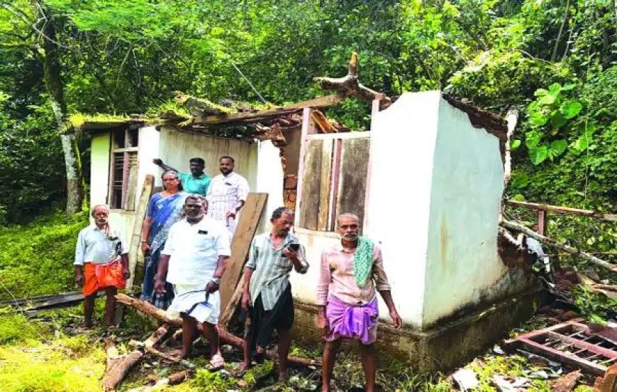 പീരുമേട്ടിൽ വീണ്ടും കാട്ടാന ആക്രമണം ; വീട് തകർത്തു