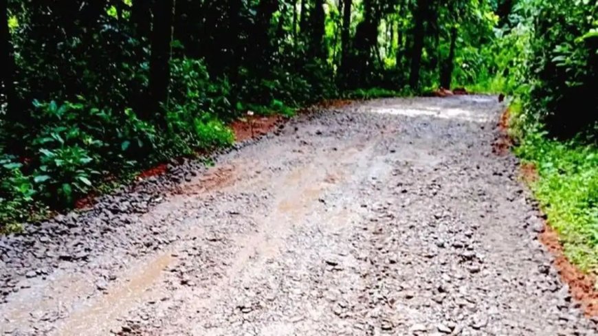 ഉടുമ്പന്നൂർ–കൈതപ്പാറ–മണിയാറംകുടി റോഡ് നിർമ്മാണം പുനരാരംഭിച്ചു; കോൺക്രീറ്റ് ജോലികൾ തുടങ്ങി