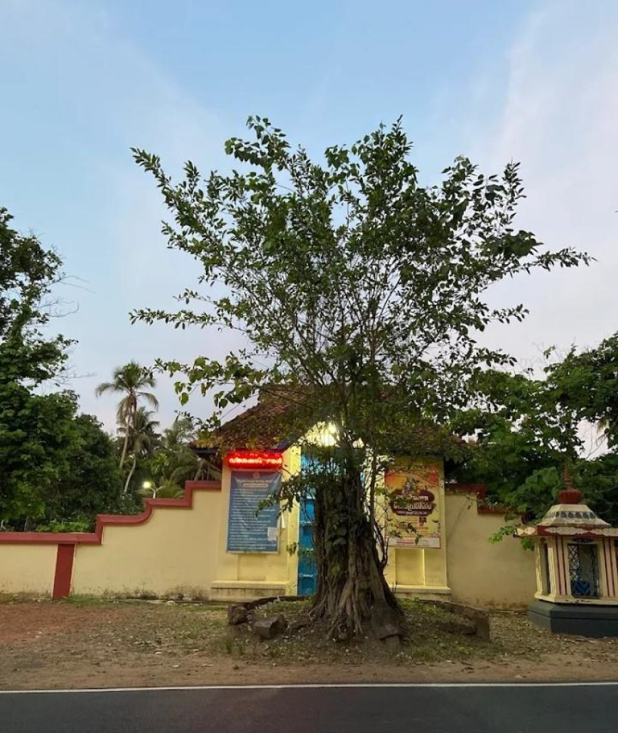 തോട്ടകം സുബ്രഹ്മണ്യസ്വാമി ക്ഷേത്രത്തിൽ പ്രതിഷ്ഠാവാർഷിക ചടങ്ങുകൾ ജൂലൈ 2ന്