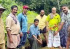 തൊടുപുഴ നഗരസഭ 30-ാം വാർഡിൽ വഴിയോര ഉദ്യാനം പദ്ധതിക്ക് തുടക്കമായി