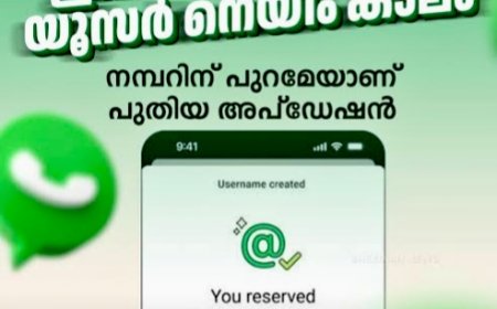ഫോൺ നമ്പർ പങ്കിടാതെ ചാറ്റ് ചെയ്യാം; വാട്‌സാപ്പിൽ പുതിയ യൂസർനെയിം ഫീച്ചർ