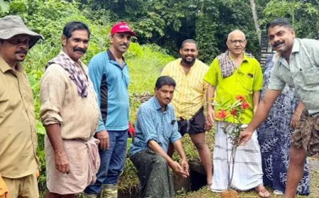 തൊടുപുഴ നഗരസഭ 30-ാം വാർഡിൽ വഴിയോര ഉദ്യാനം പദ്ധതിക്ക് തുടക്കമായി