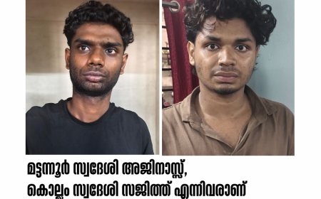 ഓപ്പറേഷൻ തൂഫാൻ: തൊടുപുഴയിൽ വൻ ലഹരിവേട്ട; രണ്ട് യുവാക്കൾ പിടിയിൽ