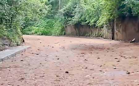 കമ്പംമെട്ട്–കമ്പം അന്തർസംസ്ഥാന പാത ശനിയാഴ്ച മുതൽ ഭാഗികമായി തുറക്കും; ഭാരവാഹനങ്ങൾക്ക് വിലക്ക് തുടരും