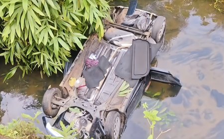 പഴയരിക്കണ്ടത്ത് കാർ പുഴയിലേക്ക് മറിഞ്ഞു; ഒരു കുടുംബത്തിലെ അഞ്ചുപേർക്ക് പരിക്ക്