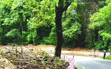 നേര്യമംഗലം–വാളറ ദേശീയപാത വികസനത്തിന് നിയമതടസമില്ല; സർക്കാർ ഉത്തരവിറക്കി