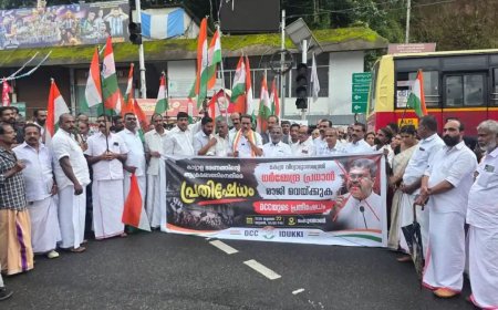 വിദ്യാഭ്യാസമന്ത്രി ധർമേന്ദ്ര പ്രധാൻ രാജിവെക്കണം: ഡി.സി.സി പ്രസിഡന്റ് സി.പി. മാത്യു