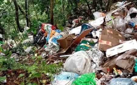 കുട്ടിക്കാനത്ത് വനംവകുപ്പ് ഭൂമിയിൽ മാലിന്യം തള്ളിയ സംഭവം : നിയമനടപടികൾ സ്വീകരിക്കാൻ പീരുമേട് പഞ്ചായത്ത്