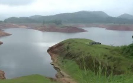ഇടുക്കിയിൽ കാലവർഷത്തിൽ 62% മഴക്കുറവ്, കൃഷിയും ടൂറിസവും പ്രതിസന്ധിയിൽ