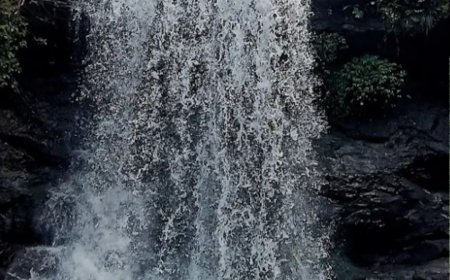 കട്ടിക്കയം വെള്ളച്ചാട്ടത്തിൽ കുളിക്കാനിറങ്ങിയ യുവാവ് മുങ്ങിമരിച്ചു