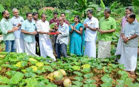 ജൈവ കൃഷിക്ക് കരുത്തായി ആനക്കല്ല് ഫാർമേഴ്സ് സൊസൈറ്റി; 'വിളവൊരുക്കം, വിപണിയിലെ കരുതൽ' പദ്ധതിക്ക് തുടക്കം