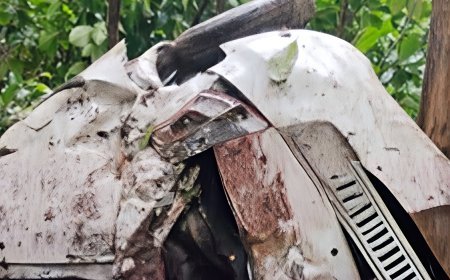 തട്ടേക്കണ്ണിക്ക് സമീപം കാർ താഴ്ചയിലേക്ക് പതിച്ചു; രണ്ട് പേരുടെ നില ഗുരുതരം