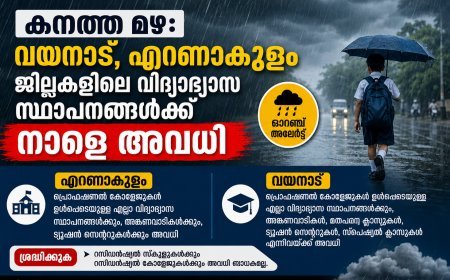 കനത്ത മഴ: വയനാട്, എറണാകുളം,കാസർഗോഡ് ജില്ലകളിലെ വിദ്യാഭ്യാസ സ്ഥാപനങ്ങൾക്ക് നാളെ അവധി