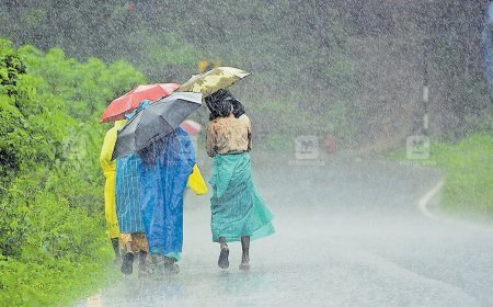 ഇടുക്കിയിൽ മഴയ്ക്ക് ശമനം; ആശങ്കയ്ക്ക് അയവില്ല, നിയന്ത്രണങ്ങൾ തുടരും