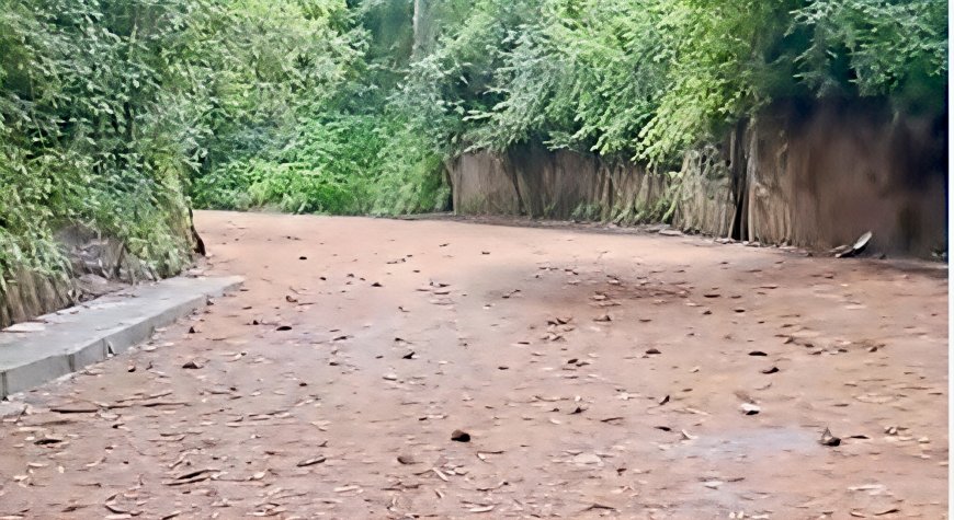 കമ്പംമെട്ട്–കമ്പം അന്തർസംസ്ഥാന പാത ശനിയാഴ്ച മുതൽ ഭാഗികമായി തുറക്കും; ഭാരവാഹനങ്ങൾക്ക് വിലക്ക് തുടരും