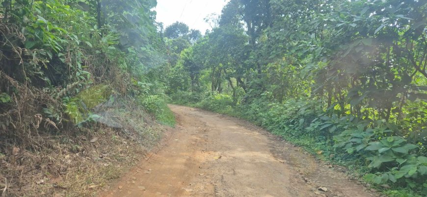 ആറാംമൈൽ – ഒട്ടകത്തലമേട് റോഡ് തകർന്നു; വിനോദസഞ്ചാരികളും നാട്ടുകാരും ദുരിതത്തിൽ