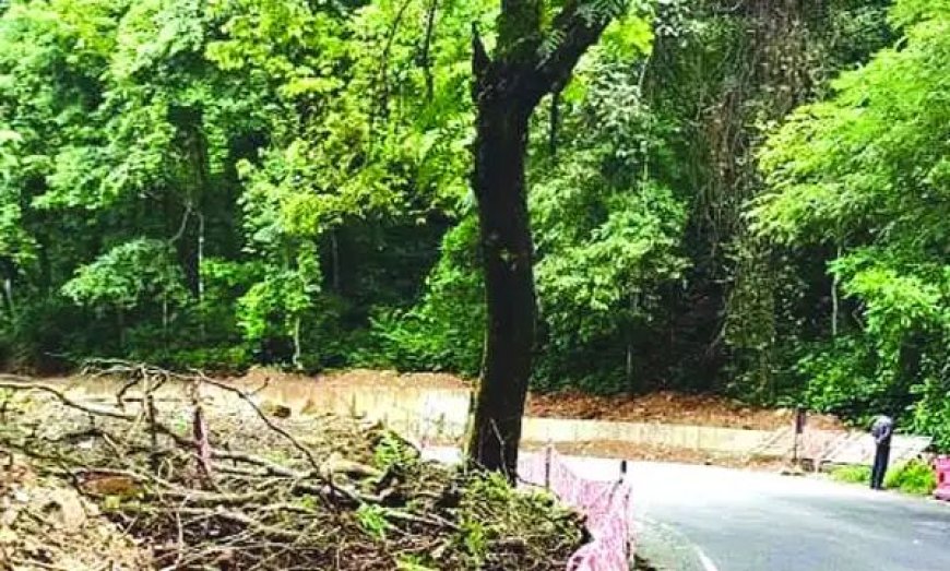 നേര്യമംഗലം–വാളറ ദേശീയപാത വികസനത്തിന് നിയമതടസമില്ല; സർക്കാർ ഉത്തരവിറക്കി